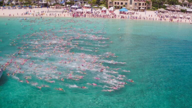 flowers sea swim start