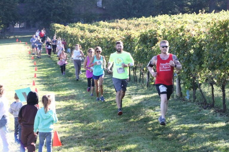 runners in winery